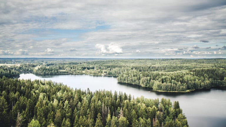 Sibeliuksen Metsä avautuu upeasti Aulangon näköalatornista.